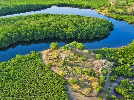 Le parfum du Saloum - 7 nuits