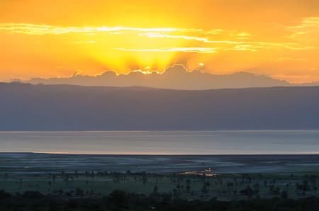 Tanzanie grandeur nature