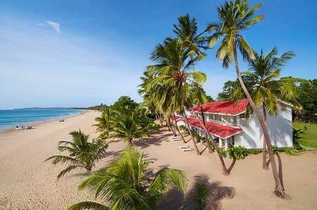 Trinco Blu by Cinnamon