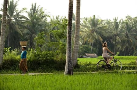 Circuit Privé Flânerie balinaise (cat. confort) - Indonésie