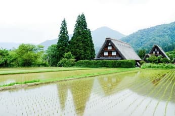 stage-7
