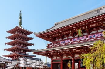 stage-7