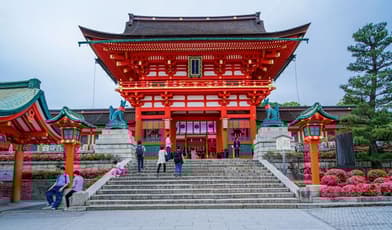 stage-5