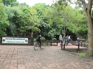 stage-5