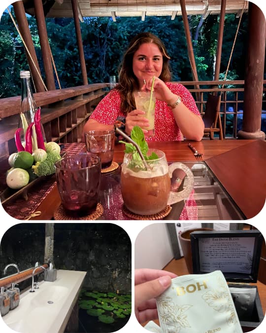 engagement-thedatailangkawi
