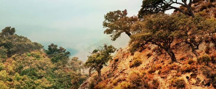 Expériences à vivre à Tarifa